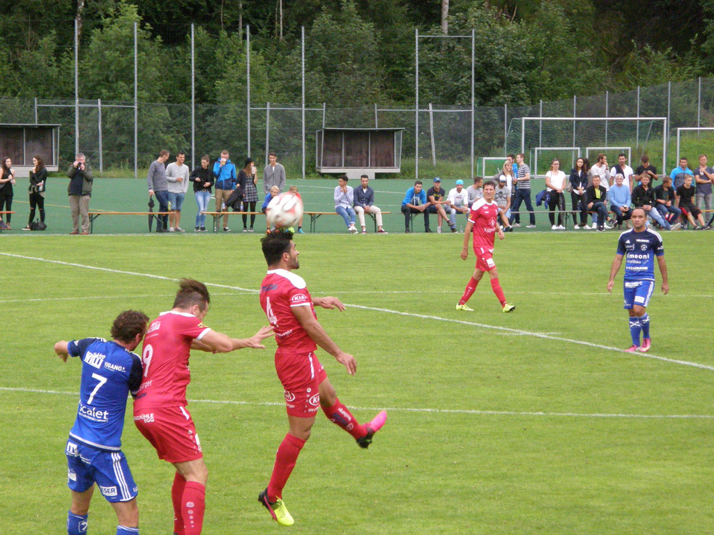 P2200038.JPG
