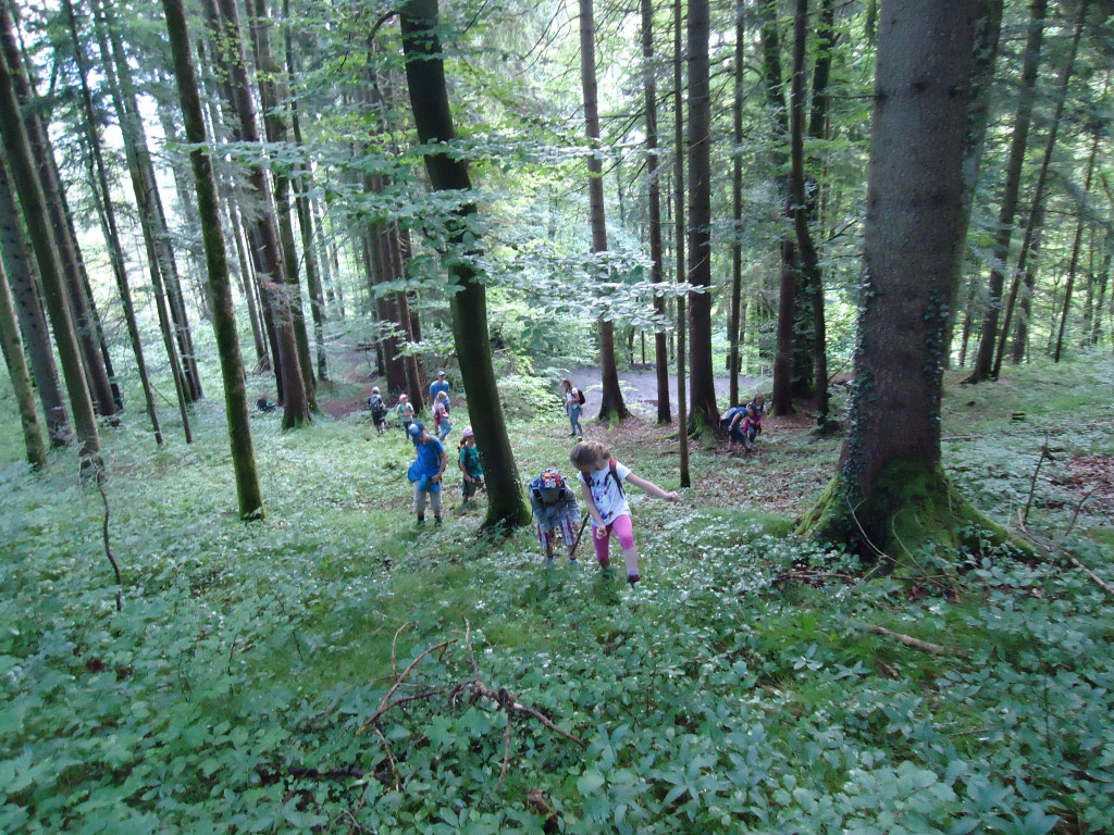 DSC03517.JPG