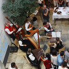 IMG_7226.JPG