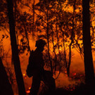 AFP_FY7MS_1.jpg