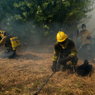 AFP_FY1JV _1_.jpg