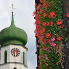 DSC_6595 Kopie.jpg