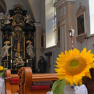 DSC_6619 Kopie.jpg