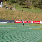 DSC_0043_JPG-1473580917.jpg
