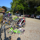 IMG_4920.jpg