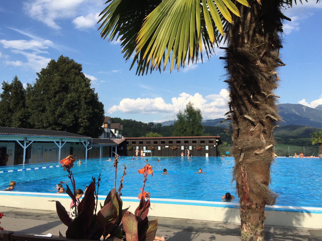 BK_Felsenau201608 3.jpg