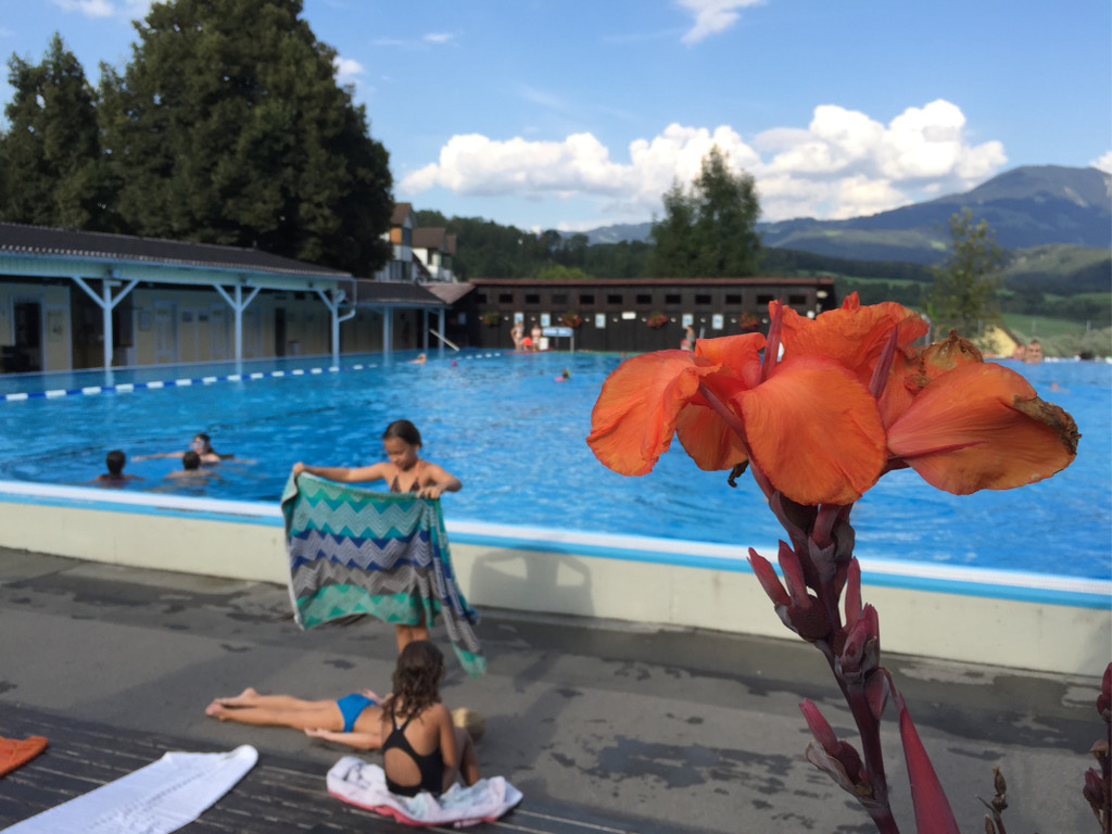 BK_Felsenau201608 5.jpg