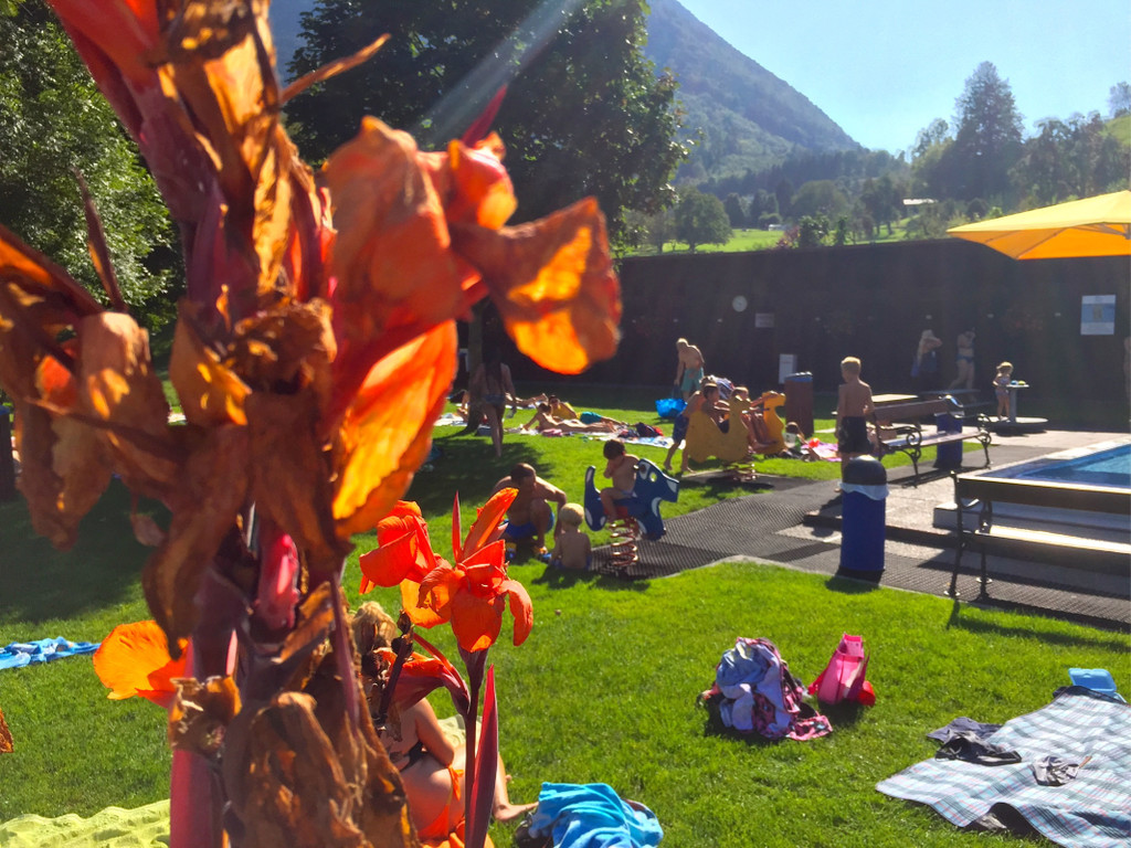 BK_Felsenau201608 9.jpg