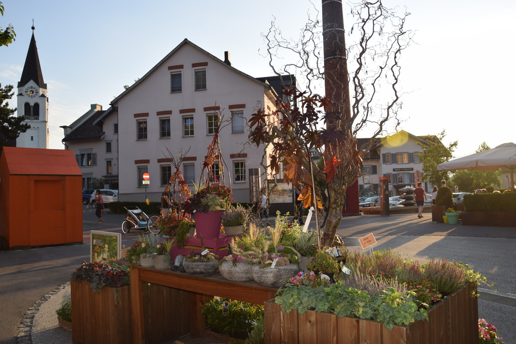 DSC_0047.JPG
