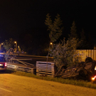 normal_25062010vulengfeldentaaktivnews_09.jpg