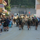 IMG_4579.JPG