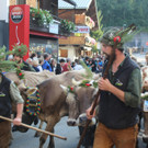 IMG_4584.JPG
