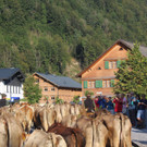 IMG_4589.JPG