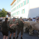 IMG_4646.JPG