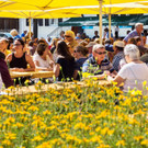 Blumen u Publikum.jpg