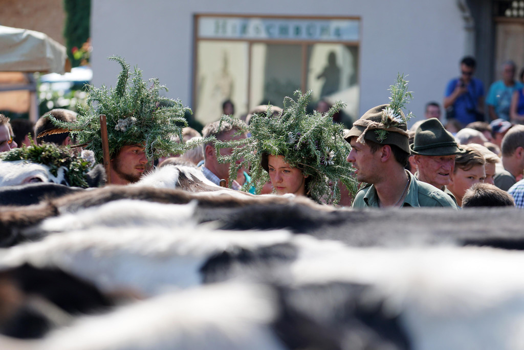 Alpabtrieb Schwarzenberg 30.jpg