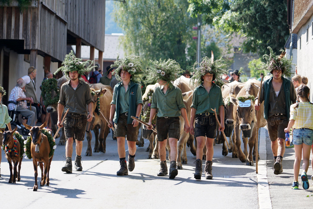 Alpabtrieb Schwarzenberg 31.jpg