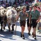 Alpabtrieb Schwarzenberg 17.jpg