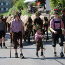 Alpabtrieb Schwarzenberg 21.jpg