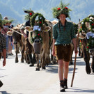 Alpabtrieb Schwarzenberg 14.jpg