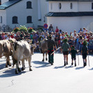 Alpabtrieb Schwarzenberg 2.jpg