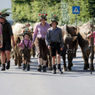 Alpabtrieb Schwarzenberg 3.jpg