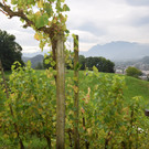 DSC_0002.JPG