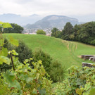 DSC_0005.JPG