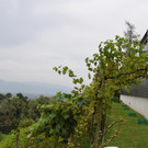 DSC_0006.JPG