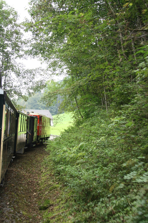 Seniorenausflug W__lderbahn Uralp 15-09-2016 _34_.JPG