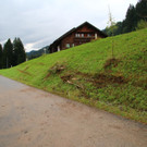 IMG_9865.JPG
