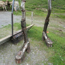IMG_6150.jpg