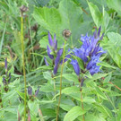IMG_6179.jpg