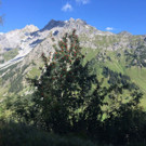 IMG_5550.jpg