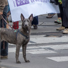 Demo CETA und TTIP - 17_09_2016 _83 von 114_.JPG