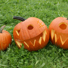 Kürbisschnitzen OGV 2016