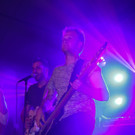 IMG_5504 _Copy_.jpg