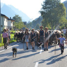 Alpabtrieb Klostertal