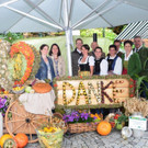 Erntedankmarkt Bludenz 2016 _38_.jpg
