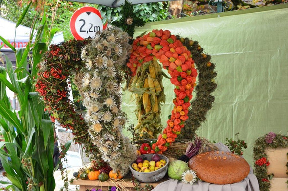Erntedankmarkt Bludenz 2016 _103_.jpg