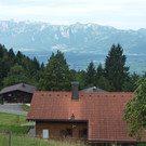 Furx 17.JPG