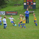 DSC_0087.jpg