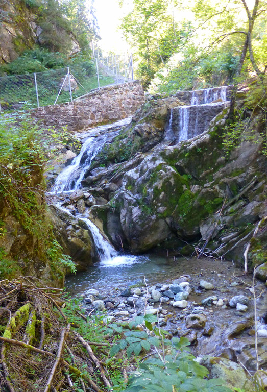 P1070097_bearbeitet-1.jpg