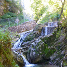 P1070097_bearbeitet-1.jpg