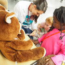 Behandlung Teddy _4_.JPG