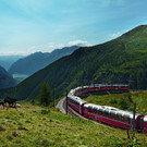 Bild_4.jpg