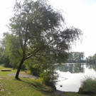 September 20 009.JPG