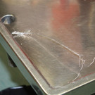 Schwer verletzter Fuchs in Wien-Hietzing in illegaler Schlingenfalle gefunden