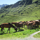 IMG_6076.JPG