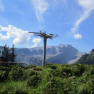 IMG_2640.JPG
